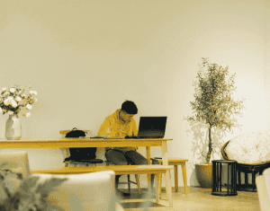 Freelancer designing and developing custom WordPress website for a business in Dublin